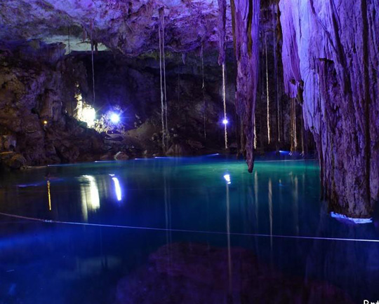 ������������ ������